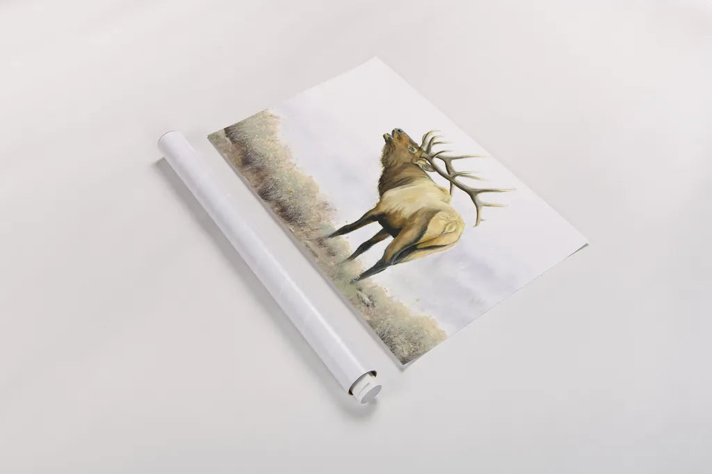 Majestic Elk by James Wiens. shown as a rolled paper print. Available as archival giclee rolled canvas, fine art paper, or poster print. SKU 30561i.