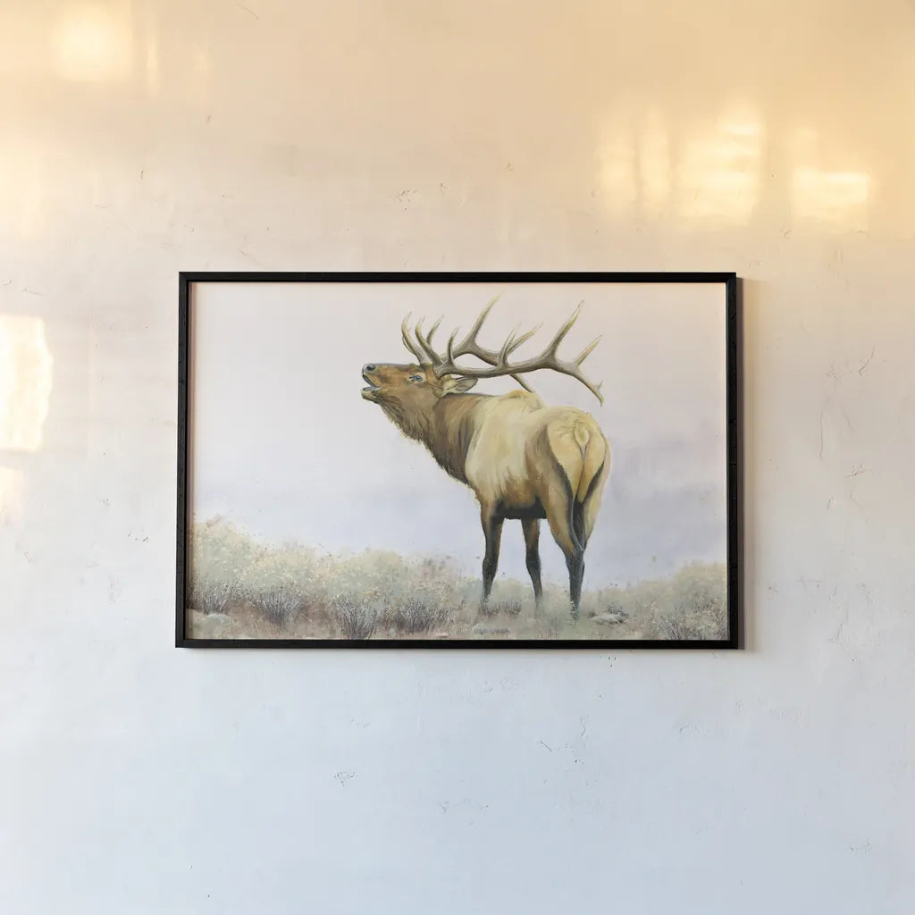 Majestic Elk by James Wiens. shown as a paper print in a black flame. Available as a archival giclee rolled canvas, fine art paper, or poster print. SKU 30561i.