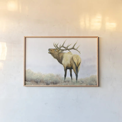 Majestic Elk by James Wiens. shown as a paper print in a natural frame. Available as a archival giclee rolled canvas, fine art paper, or poster print. SKU 30561i.