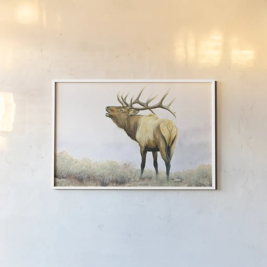 Majestic Elk by James Wiens. shown as a paper print in a white frame. Available as a archival giclee rolled canvas, fine art paper, or poster print. SKU 30561i.