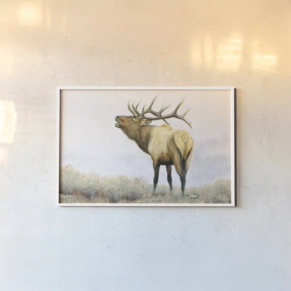Majestic Elk by James Wiens. shown as a paper print in a white frame. Available as a archival giclee rolled canvas, fine art paper, or poster print. SKU 30561i.