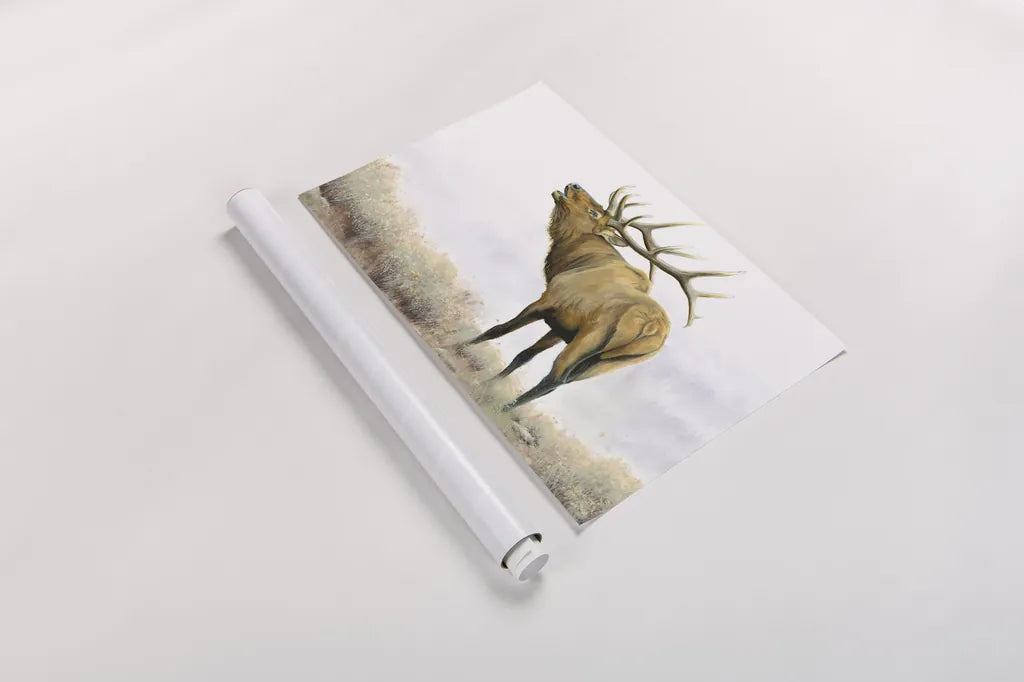 Majestic Elk Brown by James Wiens. shown as a rolled paper print. Available as archival giclee rolled canvas, fine art paper, or poster print. SKU 30571i.