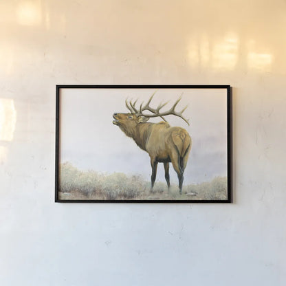 Majestic Elk Brown by James Wiens. shown as a paper print in a black flame. Available as a archival giclee rolled canvas, fine art paper, or poster print. SKU 30571i.