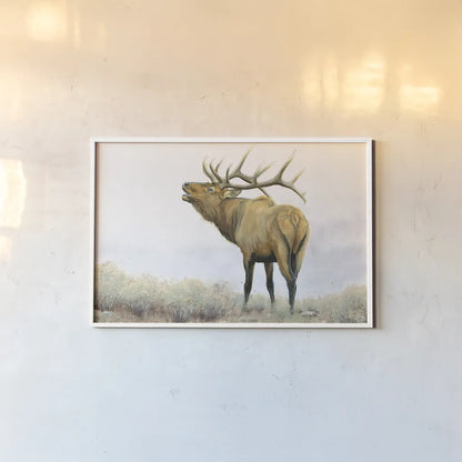 Majestic Elk Brown by James Wiens. shown as a paper print in a white frame. Available as a archival giclee rolled canvas, fine art paper, or poster print. SKU 30571i.