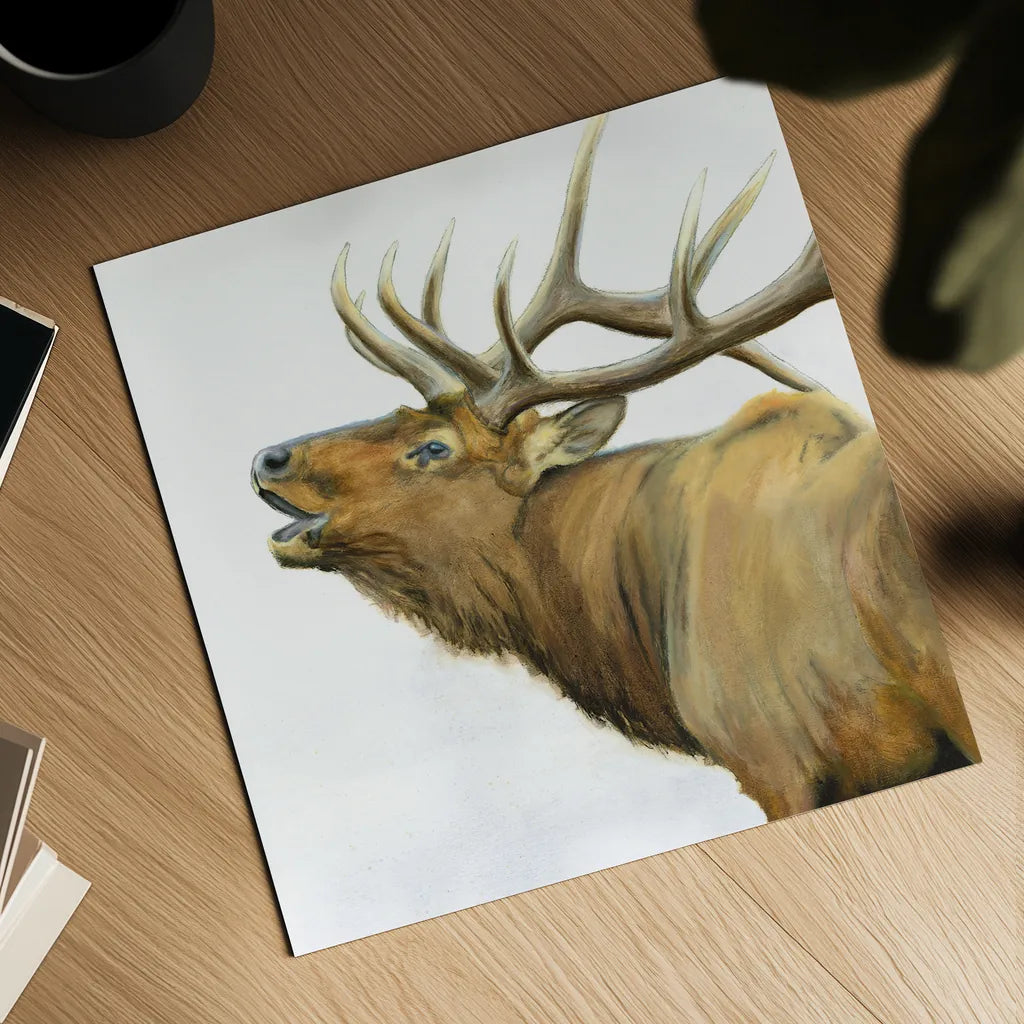 Majestic Elk Brown Crop by James Wiens. Shown as a detailed flat fine art print, highlighting archival giclee quality. Available as an archival giclee rolled canvas, fine art paper, or poster print. SKU 30571a.