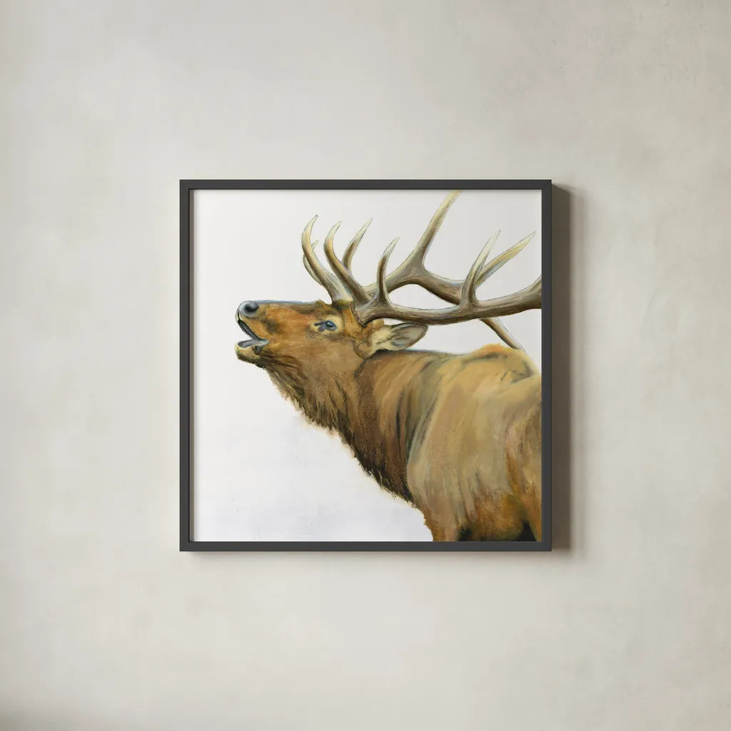 Majestic Elk Brown Crop by James Wiens. Shown in a sleek black glass frame for a contemporary gallery look. Available as an archival giclee rolled canvas, fine art paper, or poster print. SKU 30571a.