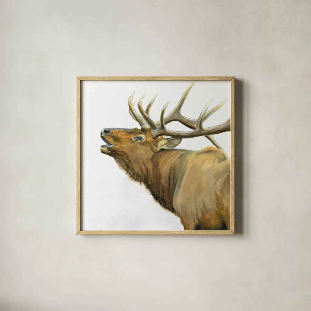 Majestic Elk Brown Crop by James Wiens. Shown in a natural wood glass frame for a timeless modern aesthetic. Available as an archival giclee rolled canvas, fine art paper, or poster print. SKU 30571a.