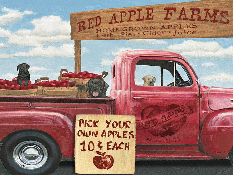 Market Season by James Wiens