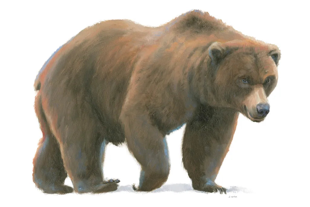 Northern Wild  I by James Wiens. SKU 66105i. Archival Giclee Fine art print for wall decor.