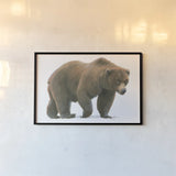 Northern Wild  I by James Wiens. shown as a paper print in a black flame. Available as a archival giclee rolled canvas, fine art paper, or poster print. SKU 66105i.