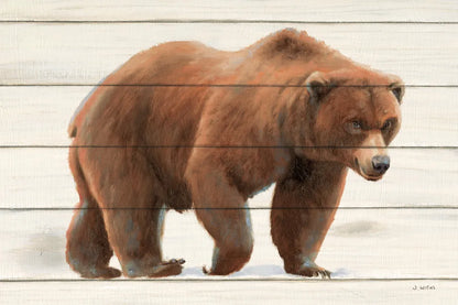 Northern Wild I on Wood by James Wiens. SKU 69068i. Archival Giclee Fine art print for wall decor.