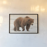Northern Wild I on Wood by James Wiens. shown as a paper print in a black flame. Available as a archival giclee rolled canvas, fine art paper, or poster print. SKU 69068i.
