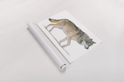 Northern Wild II by James Wiens. shown as a rolled paper print. Available as archival giclee rolled canvas, fine art paper, or poster print. SKU 66106i.