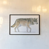 Northern Wild II by James Wiens. shown as a paper print in a black flame. Available as a archival giclee rolled canvas, fine art paper, or poster print. SKU 66106i.