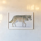 Northern Wild II by James Wiens. shown as a paper print in a white frame. Available as a archival giclee rolled canvas, fine art paper, or poster print. SKU 66106i.