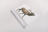 Northern Wild III by James Wiens. shown as a rolled paper print. Available as archival giclee rolled canvas, fine art paper, or poster print. SKU 66107i.