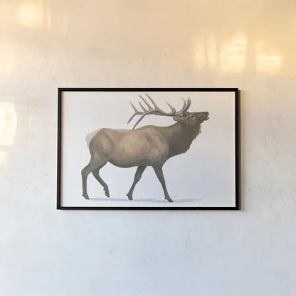 Northern Wild III by James Wiens. shown as a paper print in a black flame. Available as a archival giclee rolled canvas, fine art paper, or poster print. SKU 66107i.