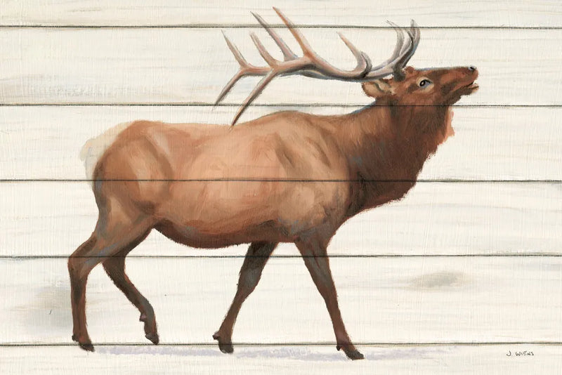 Northern Wild III on Wood by James Wiens. SKU 69070i. Archival Giclee Fine art print for wall decor.