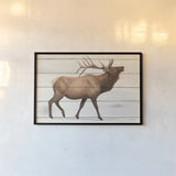 Northern Wild III on Wood by James Wiens. shown as a paper print in a black flame. Available as a archival giclee rolled canvas, fine art paper, or poster print. SKU 69070i.