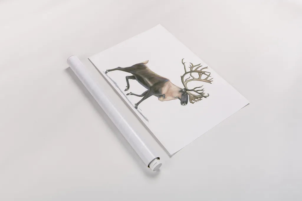 Northern Wild IV by James Wiens. shown as a rolled paper print. Available as archival giclee rolled canvas, fine art paper, or poster print. SKU 66108i.