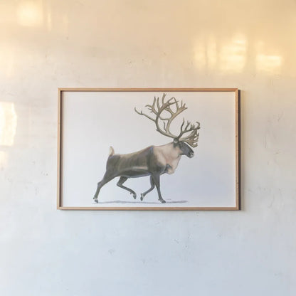 Northern Wild IV by James Wiens. shown as a paper print in a natural frame. Available as a archival giclee rolled canvas, fine art paper, or poster print. SKU 66108i.