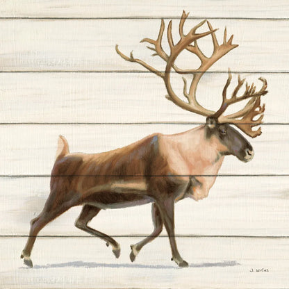 Northern Wild IV on Wood by James Wiens. SKU 69071a. Archival Giclee Fine art print for wall decor.