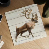 Northern Wild IV on Wood by James Wiens. Shown as a detailed flat fine art print, highlighting archival giclee quality. Available as an archival giclee rolled canvas, fine art paper, or poster print. SKU 69071a.
