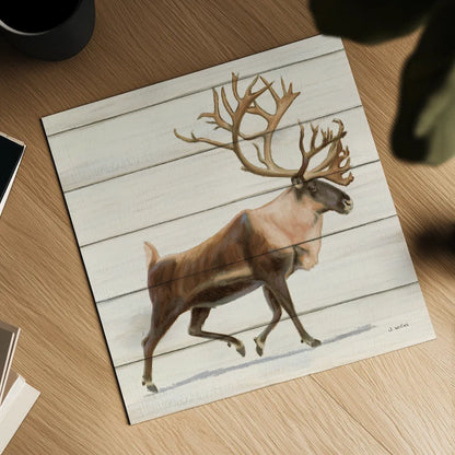 Northern Wild IV on Wood by James Wiens. Shown as a detailed flat fine art print, highlighting archival giclee quality. Available as an archival giclee rolled canvas, fine art paper, or poster print. SKU 69071a.