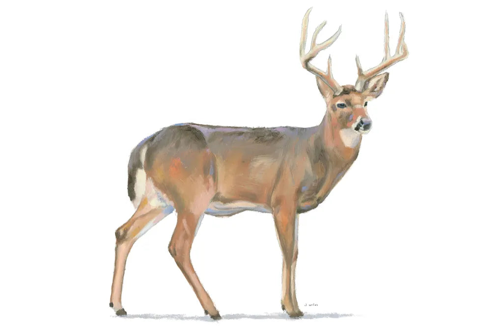 Northern Wild V by James Wiens. SKU 66109i. Archival Giclee Fine art print for wall decor.