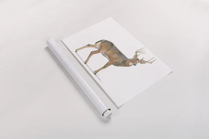 Northern Wild V by James Wiens. shown as a rolled paper print. Available as archival giclee rolled canvas, fine art paper, or poster print. SKU 66109i.