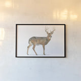 Northern Wild V by James Wiens. shown as a paper print in a black flame. Available as a archival giclee rolled canvas, fine art paper, or poster print. SKU 66109i.