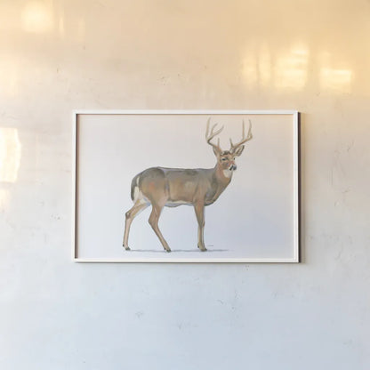 Northern Wild V by James Wiens. shown as a paper print in a white frame. Available as a archival giclee rolled canvas, fine art paper, or poster print. SKU 66109i.