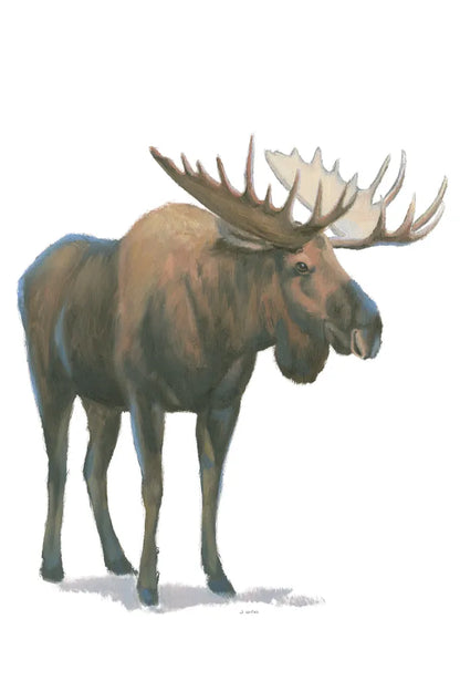 Northern Wild VI by James Wiens. SKU 66110h. Archival Giclee Fine art print for wall decor.