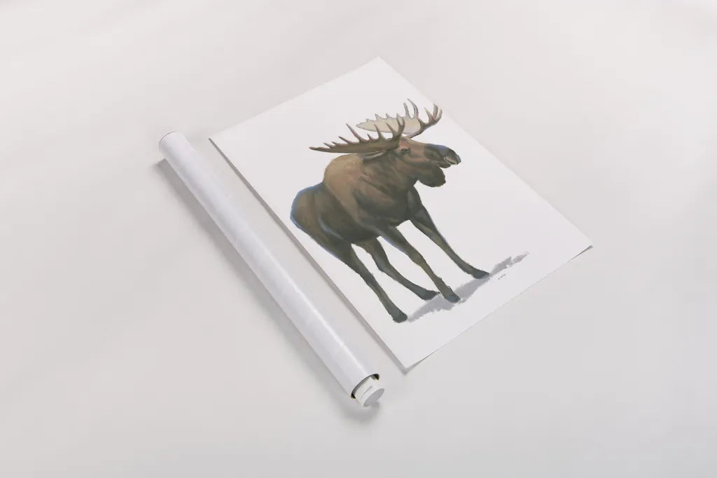 Northern Wild VI by James Wiens. shown as a rolled paper print. Available as archival giclee rolled canvas, fine art paper, or poster print. SKU 66110h.