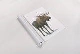 Northern Wild VI by James Wiens. shown as a rolled paper print. Available as archival giclee rolled canvas, fine art paper, or poster print. SKU 66110h.