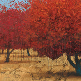 Orange Trees III Square I by James Wiens. SKU 18629a. Archival Giclee Fine art print for wall decor.