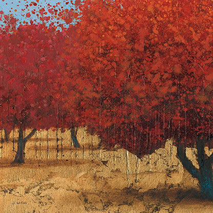 Orange Trees III Square I by James Wiens. SKU 18629a. Archival Giclee Fine art print for wall decor.