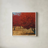 Orange Trees III Square I by James Wiens. Shown in a crisp white glass frame for a clean and minimalist style. Available as an archival giclee rolled canvas, fine art paper, or poster print. SKU 18629a.