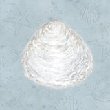 Serene Shells I by James Wiens. SKU 31836a. Archival Giclee Fine art print for wall decor.