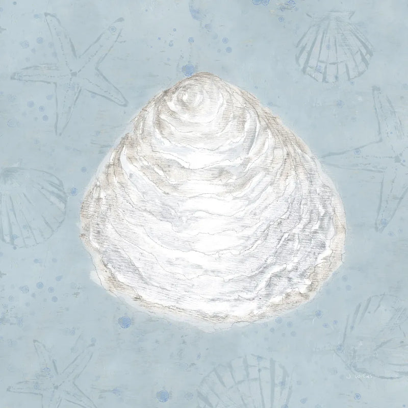 Serene Shells I by James Wiens. SKU 31836a. Archival Giclee Fine art print for wall decor.