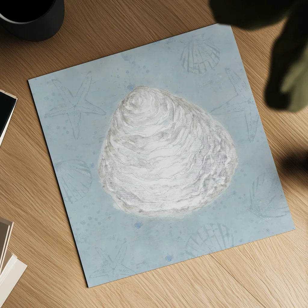 Serene Shells I by James Wiens. Shown as a detailed flat fine art print, highlighting archival giclee quality. Available as an archival giclee rolled canvas, fine art paper, or poster print. SKU 31836a.