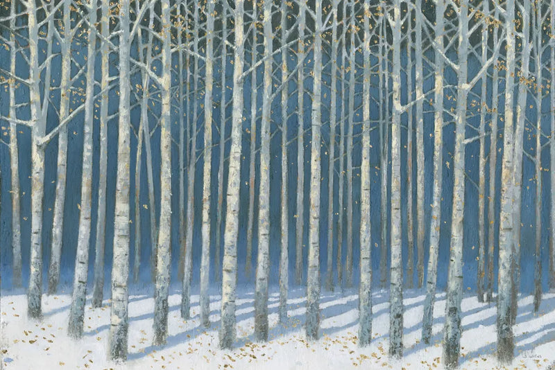 Shimmering Birches by James Wiens. SKU 60011i. Archival Giclee Fine art print for wall decor.