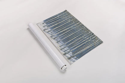 Shimmering Birches by James Wiens. shown as a rolled paper print. Available as archival giclee rolled canvas, fine art paper, or poster print. SKU 60011i.