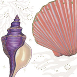 Shimmering Shells I by James Wiens. SKU 72586a. Archival Giclee Fine art print for wall decor.