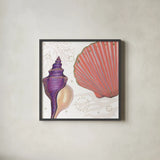 Shimmering Shells I by James Wiens. Shown in a sleek black glass frame for a contemporary gallery look. Available as an archival giclee rolled canvas, fine art paper, or poster print. SKU 72586a.