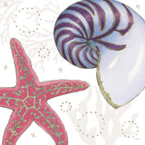 Shimmering Shells II by James Wiens. SKU 72587a. Archival Giclee Fine art print for wall decor.