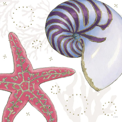 Shimmering Shells II by James Wiens. SKU 72587a. Archival Giclee Fine art print for wall decor.