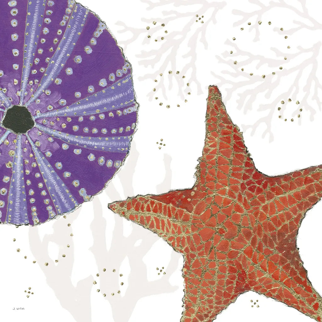 Shimmering Shells III by James Wiens. SKU 72588a. Archival Giclee Fine art print for wall decor.