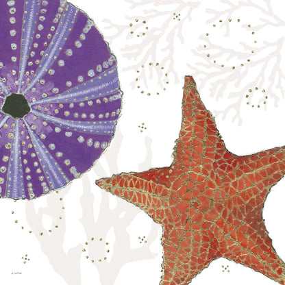 Shimmering Shells III by James Wiens. SKU 72588a. Archival Giclee Fine art print for wall decor.