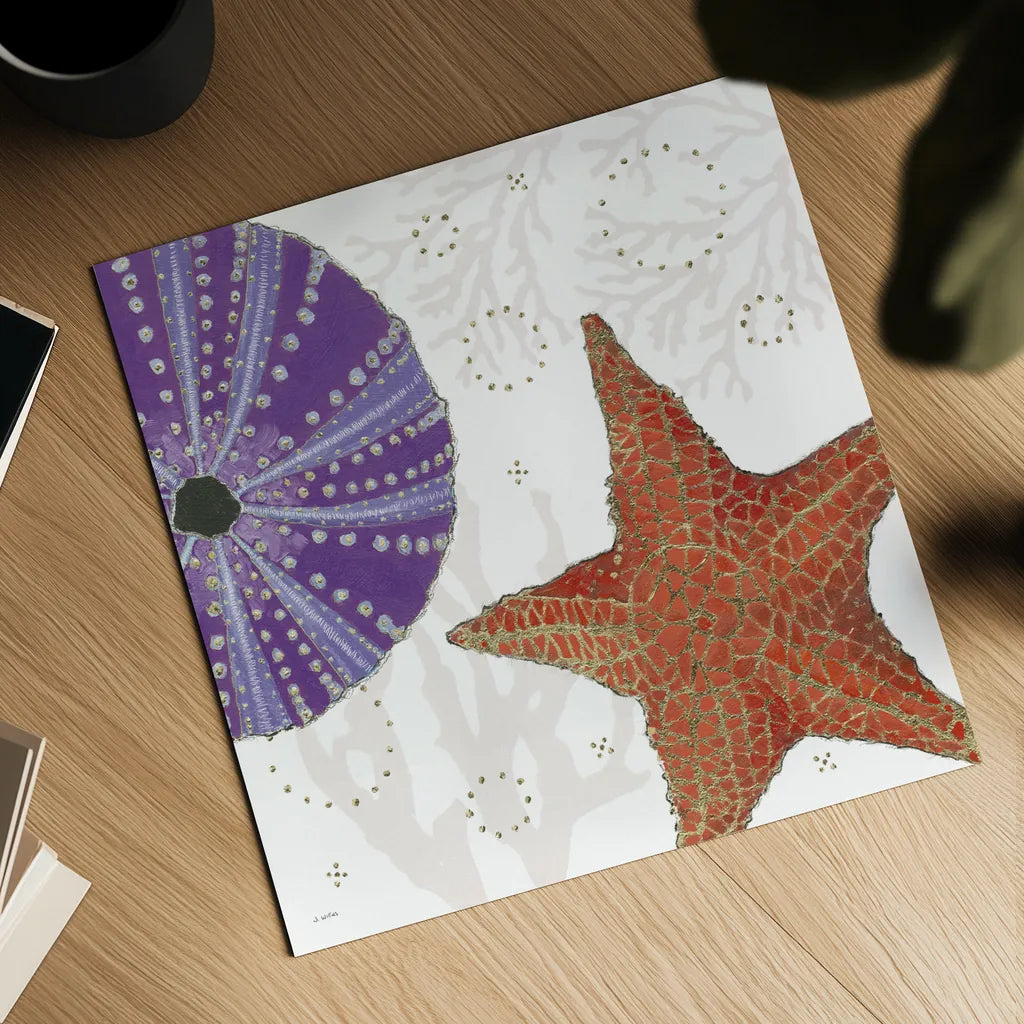 Shimmering Shells III by James Wiens. Shown as a detailed flat fine art print, highlighting archival giclee quality. Available as an archival giclee rolled canvas, fine art paper, or poster print. SKU 72588a.